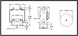 4 Pack Air Spring Bag & Air Suspension Compatible with Navistar Trucks Replacing Part Numbers W01-358-9648, 2027911C-1, 2027911C-2, 1R12-398, 1R12-538